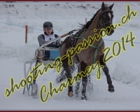 2CHARMEY139