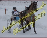2CHARMEY140