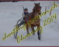 2CHARMEY145