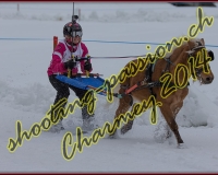 2CHARMEY149