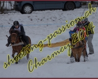2CHARMEY154