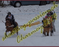 2CHARMEY155