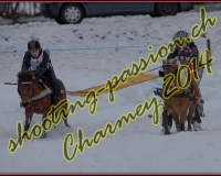 2CHARMEY156