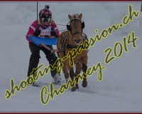 2CHARMEY161