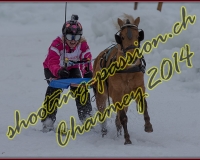2CHARMEY166