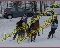 2CHARMEY177