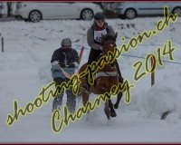 2CHARMEY193