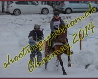 2CHARMEY194