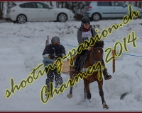 2CHARMEY195