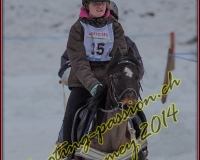 2CHARMEY241