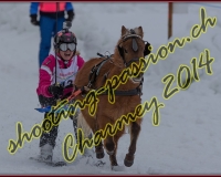 2CHARMEY248