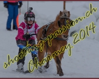 2CHARMEY250