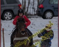 2CHARMEY291