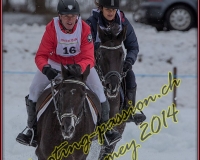 2CHARMEY331
