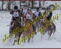 2CHARMEY355