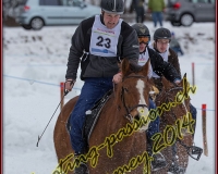 2CHARMEY376