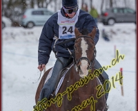 2CHARMEY382