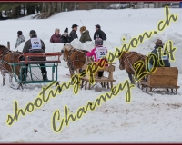 2CHARMEY436