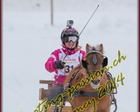2CHARMEY459