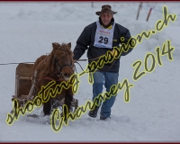 2CHARMEY475