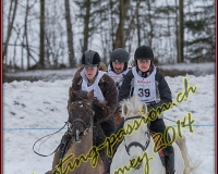2CHARMEY485