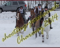2CHARMEY487