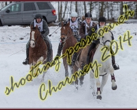 2CHARMEY489