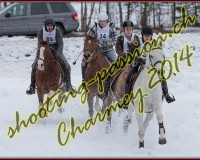 2CHARMEY490