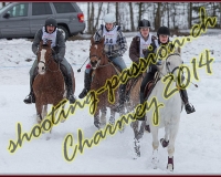 2CHARMEY491