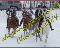 2CHARMEY492
