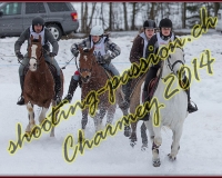 2CHARMEY493