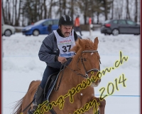 2CHARMEY518