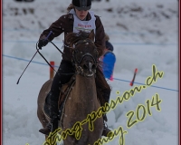 2CHARMEY538