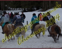 2CHARMEY587