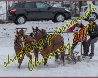 3CHARMEY139