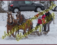 3CHARMEY142