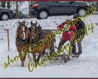 3CHARMEY146