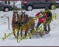3CHARMEY147