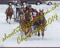 3CHARMEY153