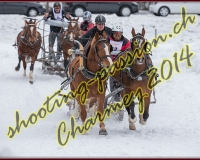 3CHARMEY154