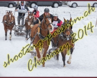3CHARMEY156