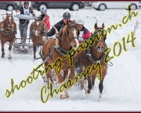 3CHARMEY158