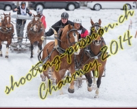 3CHARMEY159