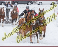 3CHARMEY160