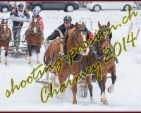 3CHARMEY161