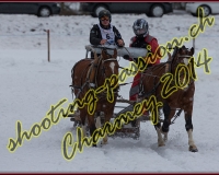 3CHARMEY170