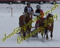 3CHARMEY171
