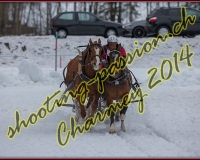 3CHARMEY173