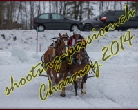 3CHARMEY174