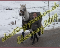 4CHARMEY005